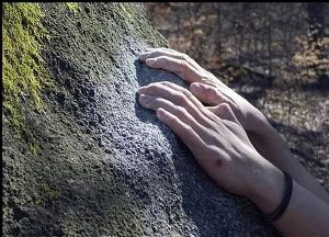 Черная полоса скачать