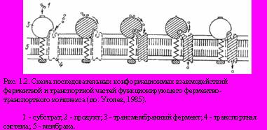 Теория адекватного питания и трофология скачать