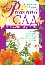 Райский сад на дачном участке. Самые красивые растения, неприхотливые в уходе скачать