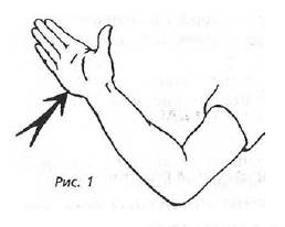 Спецприёмы рукопашного боя. Практическое пособие скачать
