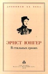 В стальных грозах скачать