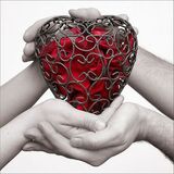 Праздник на заказ скачать