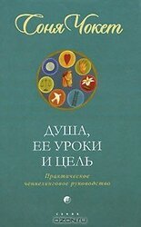 Душа, ее уроки и цель. Практическое ченнелинговое руководство скачать