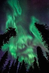 Апатрид. Книга 1 скачать