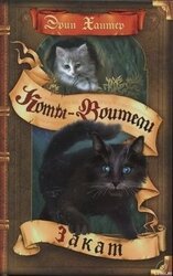 Новое пророчество. Книга 6. Закат скачать