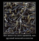 Телохранитель ее величества: Точка невозврата скачать