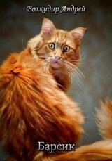 Барсик - житель трущоб скачать