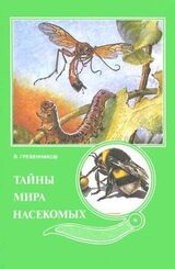 Тайны мира насекомых скачать