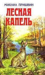 Лесная капель скачать