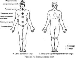 Руководство по целительству энергетическим полем человека скачать
