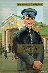 Повесть о жизни. Книги 4-6 скачать