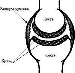 Евдокименко. Артроз. Избавляемся от боли в суставах скачать