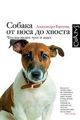 Собака от носа до хвоста. Что она видит, чует и знает скачать