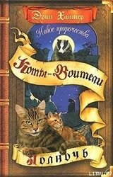 Полночь скачать