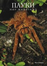 Пауки скачать
