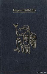 Шаманизм. Архаические техники экстаза скачать