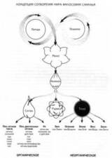Домашние средства Аюрведы скачать