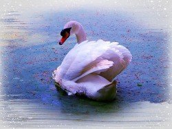 На стыке нежности и боли скачать