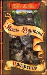 Обещание Метеора. Прозрение скачать