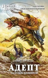 Адепт. Том второй. Каникулы скачать