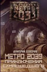Метро 2039. Приключения сумасшедшего скачать