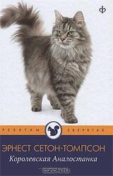 Королевская Аналостанка скачать